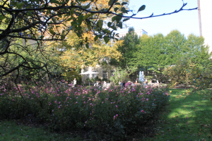Nie tylko o zbrodni: Elizabeth i jej ogród Elizabeth von Arnim